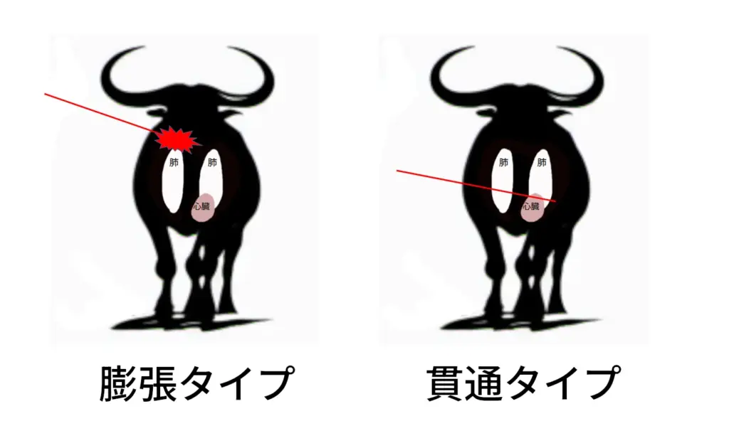 貫通する弾と広がる弾の違い